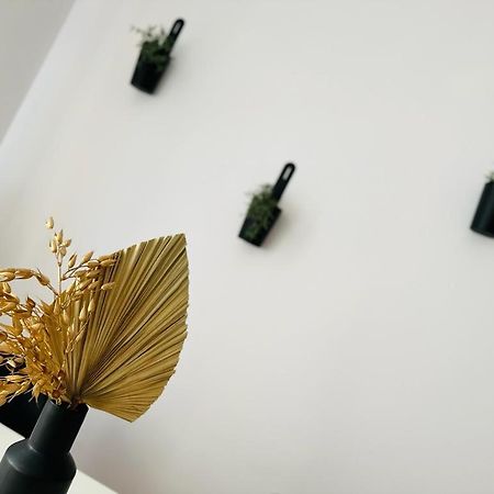 Music & Love Apartments And Rooms Катовіце Екстер'єр фото