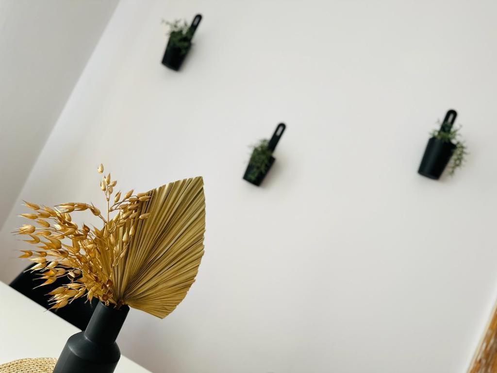 Music & Love Apartments And Rooms Катовіце Екстер'єр фото